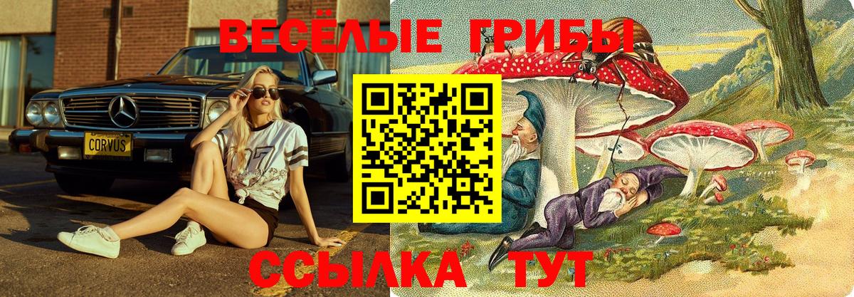 Галлюциногенные грибы Psilocybine cubensis  Псилоцибиновые грибы Psilocybe  Новодвинск  Вход с VPN 