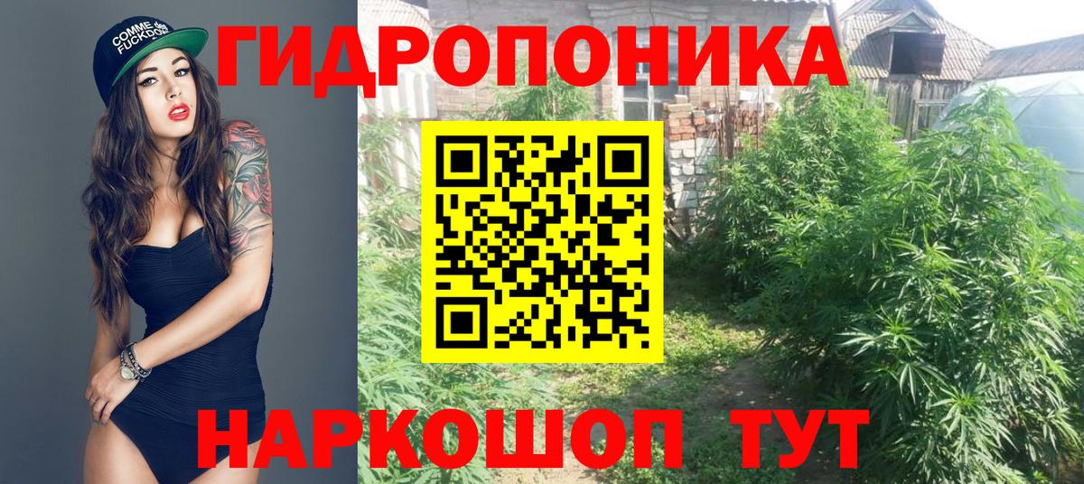 Каннабис MAZAR Новодвинск